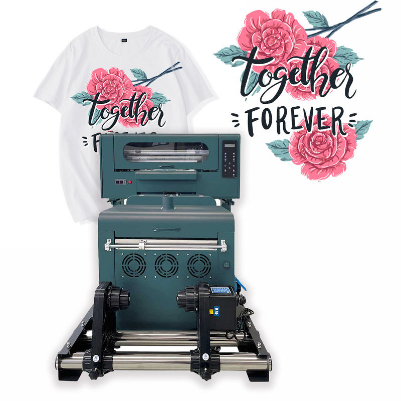 Stampa DTF da 30 cm T-shirt in tessuto a pellicola PET T-shirt in tessuto A3 Stampa DTF con macchina a polvere di agitazione